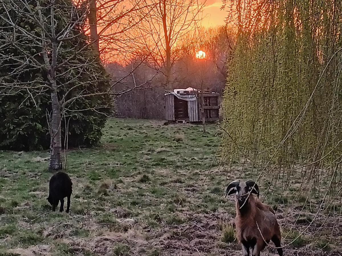 Les Chambres Du Vert Galant "Coucher De Soleil" Verlinghem 외부 사진